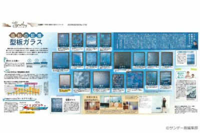 サンデー版 世界と日本 大図解シリーズ | 東京新聞オフィシャル