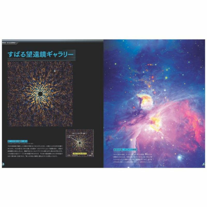人+間 MAN+SPACE 光州ビエンナーレ2000年特別展カタログ 人+間 MAN+SPACE 光州ビエンナーレ2000年特別展カタログ - メルカリ