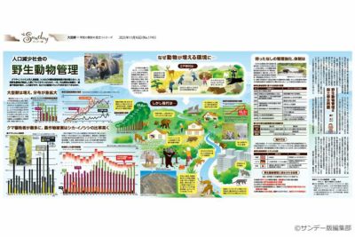 サンデー版 世界と日本 大図解シリーズ | 東京新聞オフィシャルショップ
